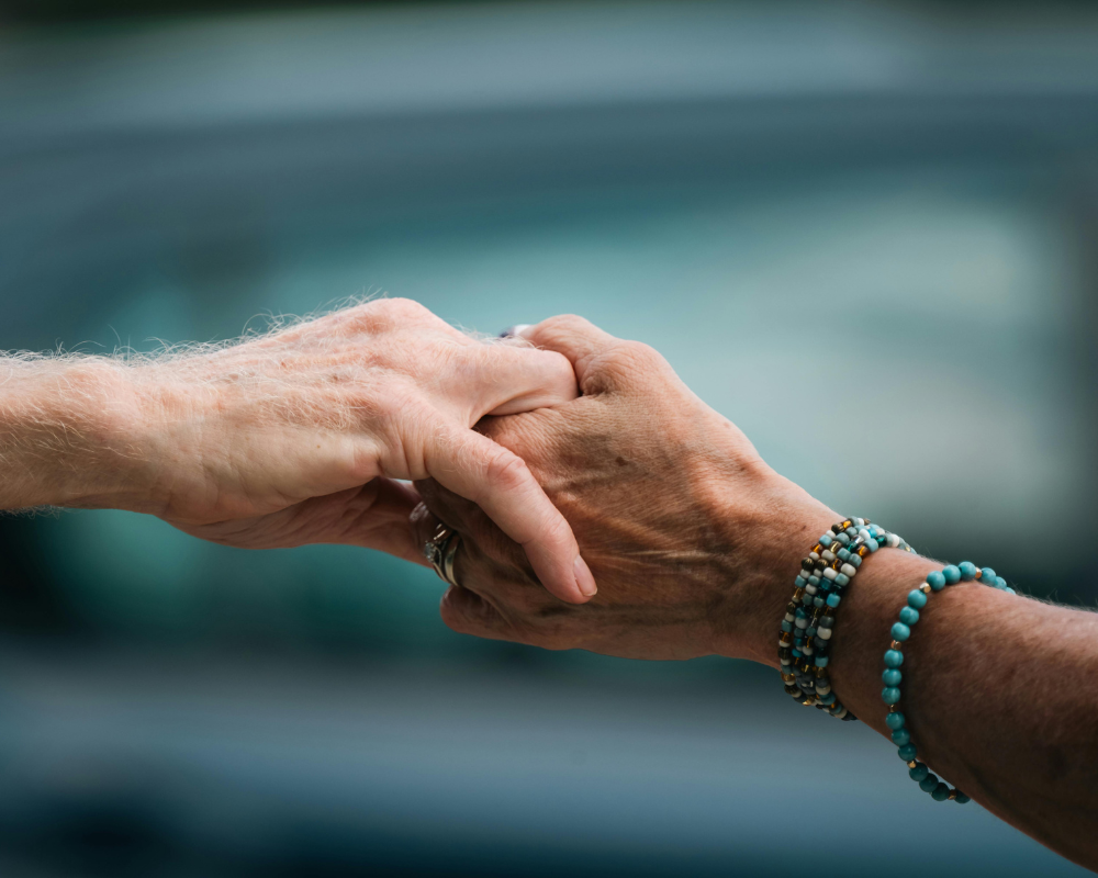 CBD for Seniors: Contraindications & Safe Dosing Guide 1 CBD for Seniors and Contraindications